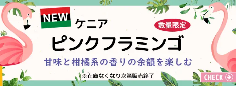 ケニア ピンクフラミンゴ