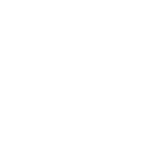 珈琲豆について