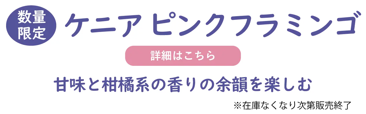 ケニア ピンクフラミンゴ
